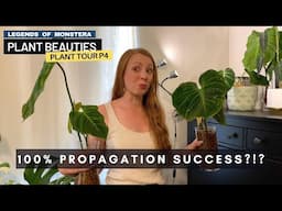 P4. Plant Tour & Propagating Philodendron El Choco Red | Plant Beauties Series