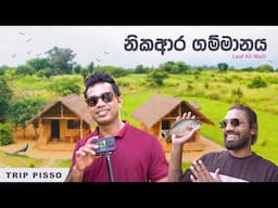 කැලේ මැද තියෙන සුපිරි නවාතැන | Leaf 🌿 Ali Malli Thanamalwila | Authentic Village Life 👌