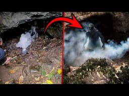 A Smoking Cave Hid a Secret That Left the World Speechless