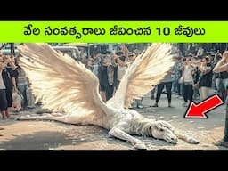 Longest living animals in the world | Facts in Telugu | BMC Facts | interesting facts