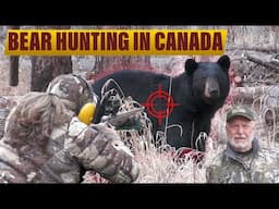 Giant Black Bear Hunting in Canada