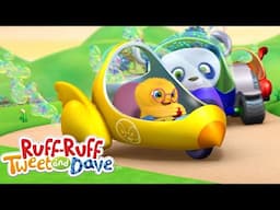 Ruff-Ruff, Tweet and Dave Learn How To Fly and Drive! | Universal Kids