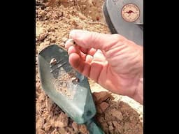 Axiom Gold Rush! No.2 #shorts  #metaldetecting #gold_nuggets #prospecting #garrettmetaldetectors