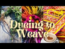 Dyeing and Weaving Workshop at the John C Campbell Folk School