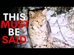 The Truth About The Illegal Lynx Releases