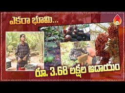 ఎకరా భూమి రూ.3.68 లక్షల ఆదాయం | profitable farming business ideas | Amulya Startups.