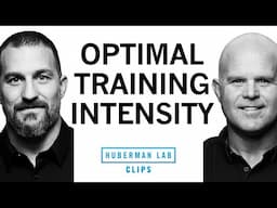 How to Balance Intensity & Recovery in Training | Dr. Kelly Starrett & Dr. Andrew Huberman