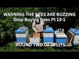 Beekeeping: Stop Buying BEES Pt.13-1 Round Two of Splits