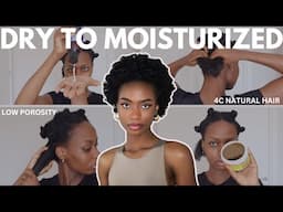 MOISTURIZING ROUTINE FOR MY LOW POROSITY 4C NATURAL HAIR | HOW I MOISTURIZE AFTER WASH DAY