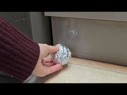 Put aluminum foil around the house and be surprised by the result !