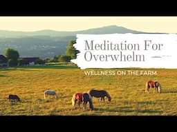 Meditation for Overwhelm