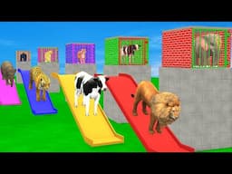 Cow Elephant Lion Gorilla Tiger T-Rex 3d Animal Long Slide Game Funny 3d Paint Animals Cage Game