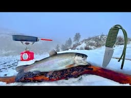 SOLO Ice Fishing for Trout!!! (Catch & Cook)