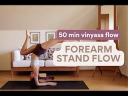 Forearm stand flow ◆ 50 min vinyasa yoga flow | with Sara Ticha