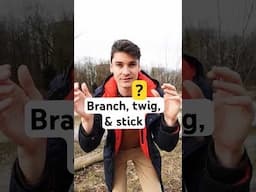 Branch, Twig, or Stick? 🌿 Do you know the Difference?