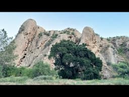 Violent History: Hanging Tree "The Castaic Range War 1890-1916"