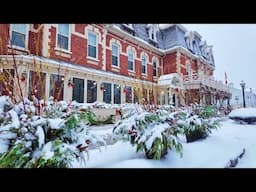 Prettiest Winter Town for Ambient Snow Walk - Niagara-on-the-Lake Winter Snowfall