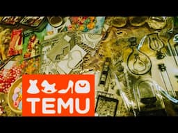 HUGE TEMU CRAFT HAUL W LINKS