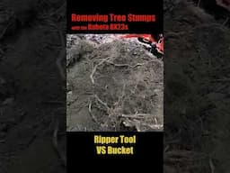 Kubota BX23s Bucket VS Ripper Attachment for tree stump removal. #kubota #bx23s