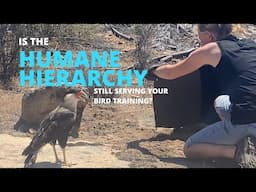 Is the humane hierarchy still serving your bird care? If not LIMA, what else guides humane training?