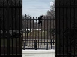 Man arrested for attempting to scale White House fence | USA TODAY