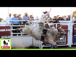 Bull Riding - 2024 White Deer Rodeo (Censored)