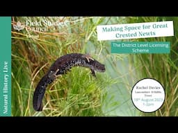 Making Space for Great Crested Newts: the District Level Licensing Scheme