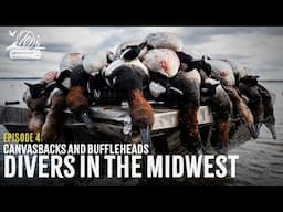 Canvasbacks and Buffleheads - Diver Hunting in the Midwest with Duck Gun Chronicles