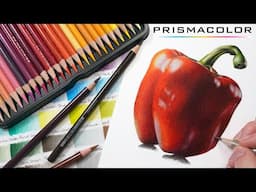 How To Blend Coloured Pencils | Prismacolor Tutorial