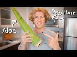 How I Use Fresh Aloe Vera to Fix Dry Hair - Before and After