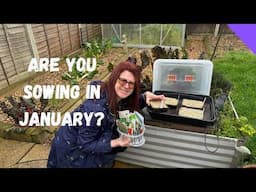 What To Sow In January - Allotment Gardening For Beginners UK