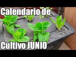 Que sembrar en JUNIO! || Cultivos JUNIO || Calendario de siembra || 2024 || Bananafabric