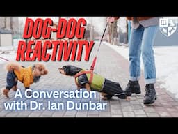 Dog-Dog Reactivity - A Conversation With Dr. Ian Dunbar