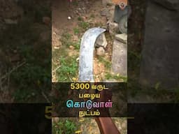 🗓️ 5300 வருட பழைய 🔪 கொடுவாள் நுட்பம் 🤩 MudPot Channel