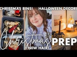 ORGANIZING MY CHRISTMAS BINS | CHRISTMAS 2024 PREP VLOG