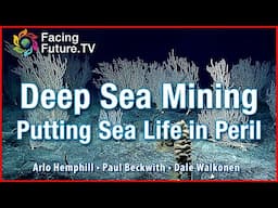 Deep Sea Mining - A Looming Peril