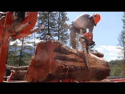 In All My Years of Sawmilling I’ve Never Seen Anything Like This | Ancient Cedar Log