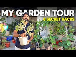 My 8 Secret Gardening Hacks for Beginners (Terrace Garden Overview)