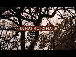 Amie Waters // Inhale :: Exhale