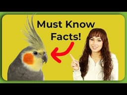 Life Changing Facts You Must Know Before Bringing Home a Pet Bird!