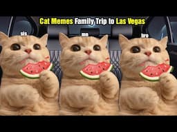 Cat Memes Family Trip to Las Vegas