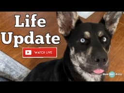 Life Update Live | How Ines Rolls