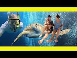 Sailing and Freediving North Sulawesi (Turtles galore) (Ep 278)