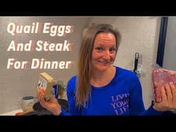 Dinner time in my cozy little trailer! Quail eggs and steak-2023 Flagstaff E-Pro 15TB #rvlife