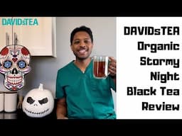 DAVIDsTEA Organic Stormy Night Black Tea Review - A Mexican Hot Chocolate Tea Blend?