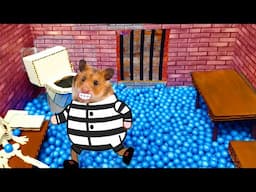 🐹Hamster escapes the awesome maze for Pets in real life 🐹 in Hamster stories P4