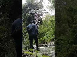 Gunung Emas #gunung #emas #tambang #tambangemaspapua #petualangan