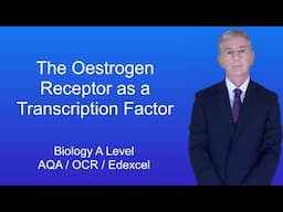 A Level Biology Revision (Year 13) "The Oestrogen Receptor as a Transcription Factor"