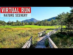 Treadmill Virtual Runs |  Virtual Run | Virtual Running Videos | Treadmill