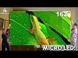 162" MicroLED is Actually Coming! - AWALL Vision